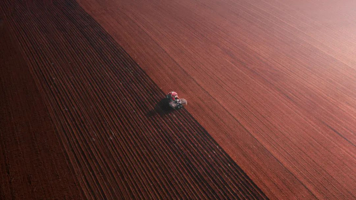 ▲ 湛江，这里有中国大陆的最南端，还有一片红土地。摄影/NB林嘉