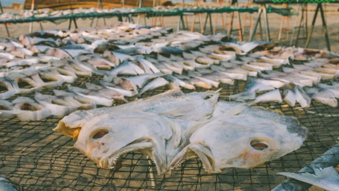 ▲ 湛江人爱吃鱼，有各种各样的吃法，图中正在晒鱼干。摄影/笑飞雪