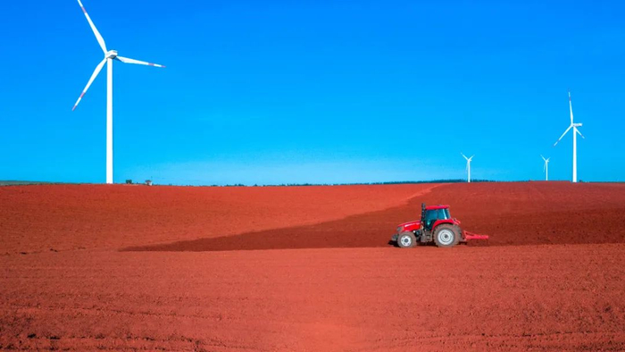 ▲ 雷州半岛上有大面积肥沃的红土地。摄影/NB林嘉