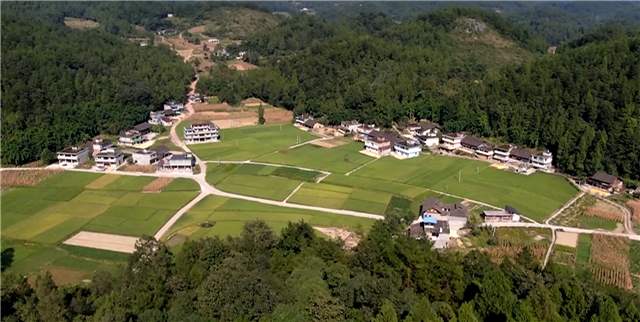 鹿鸣乡景色  图：微播彭水