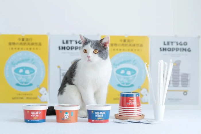 （TAFFEE推出的喵茶）