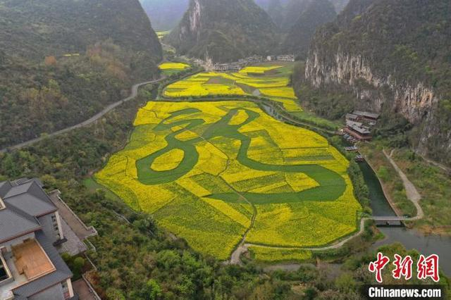 图为3月14日，航拍植物汉字“龙字田”。 瞿宏伦 摄