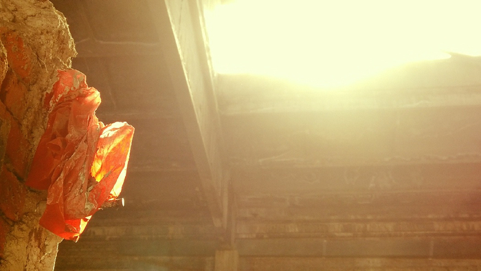 阳光透过被拆除的楼顶射入厂房，将厂房照得光灿灿的，十分美丽