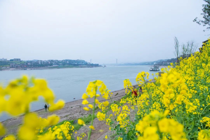 白沙江边美景 图：江津发布