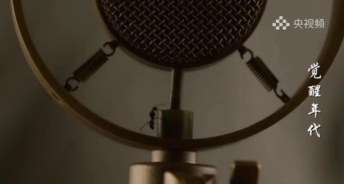 ▲《觉醒年代》的蚂蚁特写。图片来源：央视频