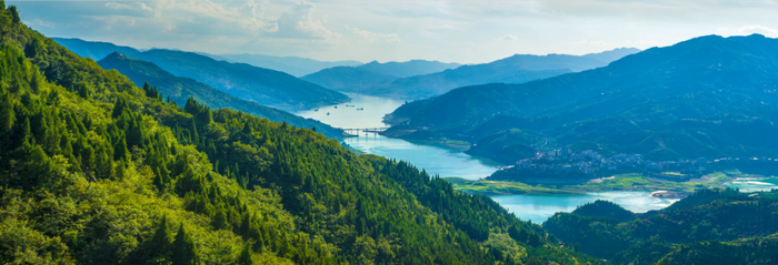 奉节长江两岸生态景观林 市林业局供图