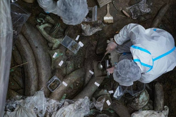 图说：考古专家发掘3号坑时的情景。