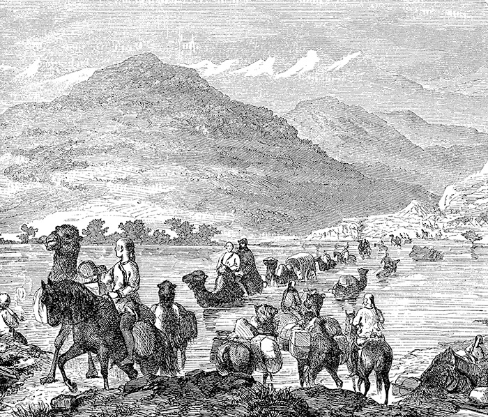 骆驼队在蒙古过河