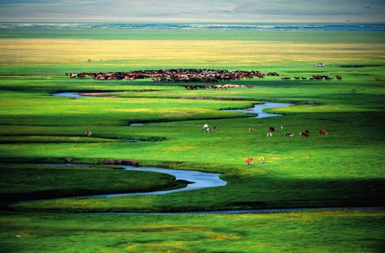 　内蒙古东乌珠穆沁旗乃林高勒草原风光（2019 年 7 月 20 日摄）任军川摄