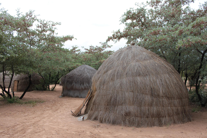 布须曼人的传统窝棚徐薇摄于2011年