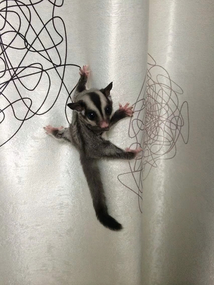 图|小时候的蜜蜜