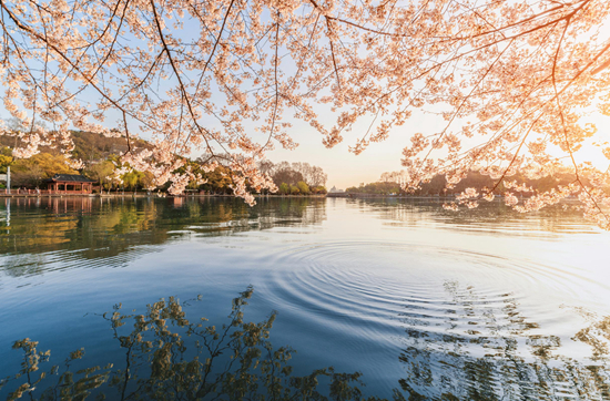     苏堤春晓 视觉中国供图