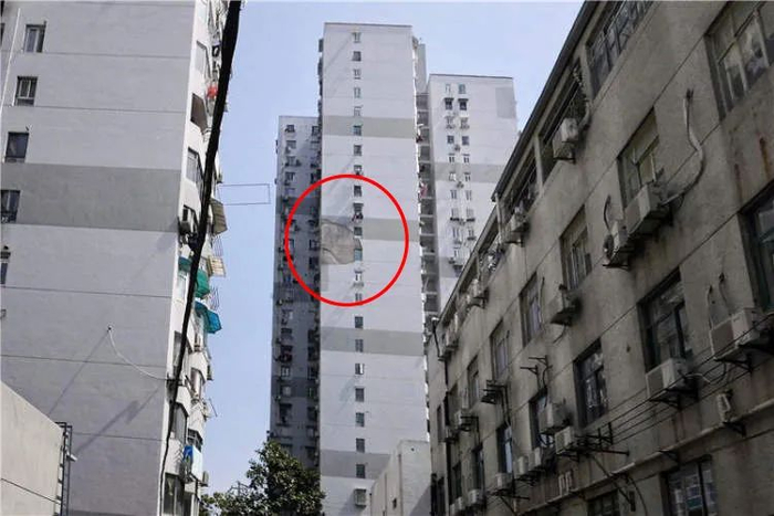 图片来源：新闻晨报（下同）