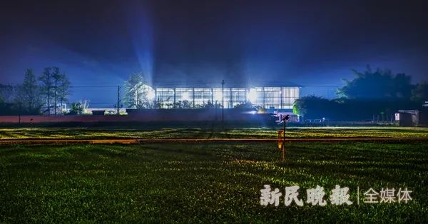 昨晚十点，记者来到三星堆遗址 新民晚报记者 孙中钦 摄