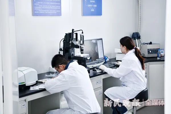 应急分析实验室内，工作人员在分析挖掘出的土壤 新民晚报记者 孙中钦 摄