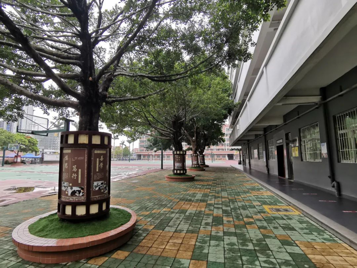 宏伟中学校园。本报记者邓瑞璇摄