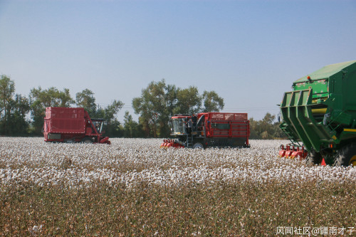 观察者网读者拍摄照片