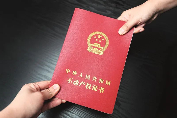 摄影作者：张哲