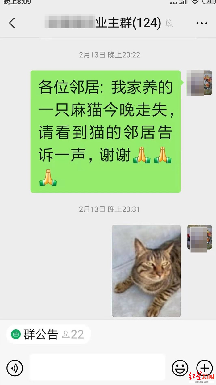 业主群发布寻猫启事