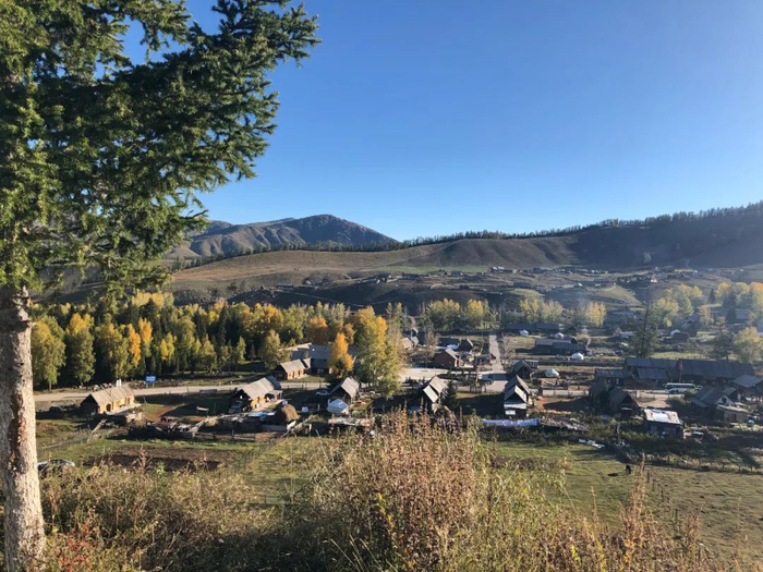 新疆白哈巴景区摄：环球网/桐瑶