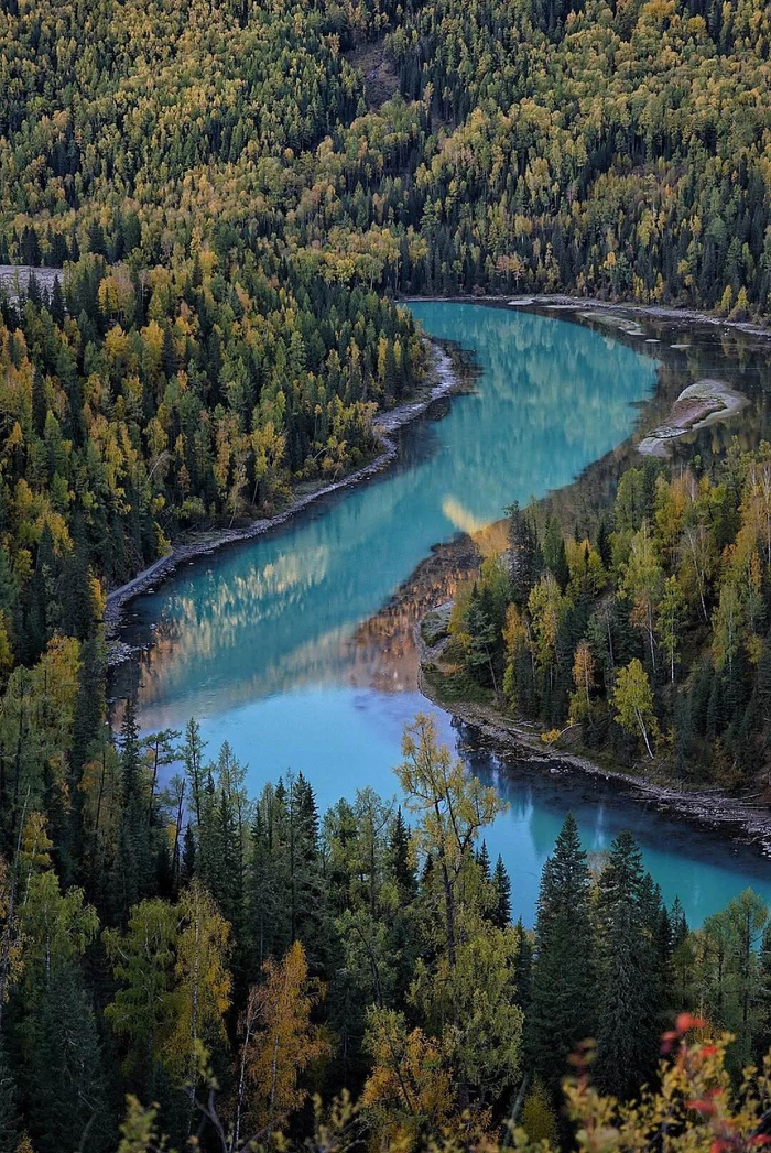 新疆喀纳斯景区摄：环球网/冬瑾