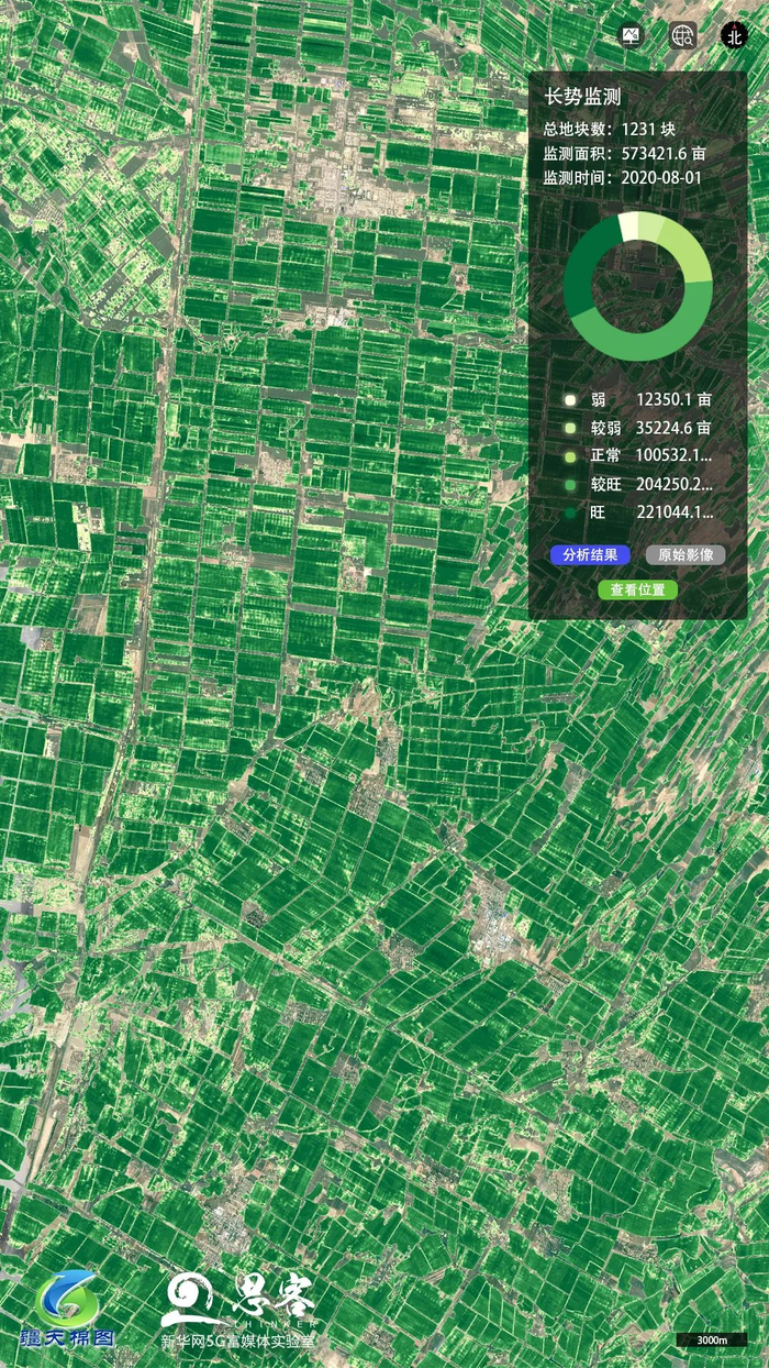 ▲图为2020年8月1日，新疆塔城地区沙湾市及新疆生产建设兵团第八师棉花种植区长势卫星遥感监测结果。来源：疆天棉图