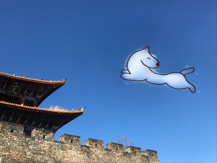 ▲ 《走呀，去大理想国》
