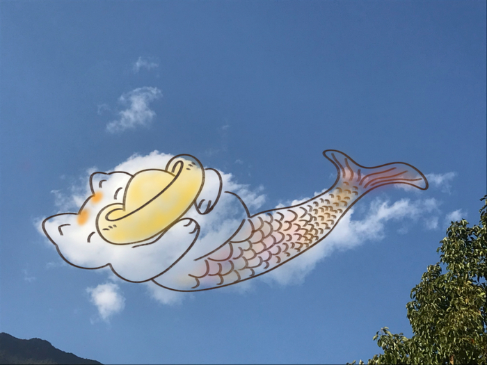 ▲ 《猫小豆带着金元宝来了》