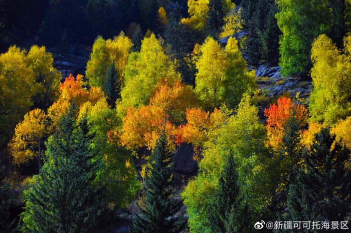秋日可可托海。图/可可托海风景区官方微博