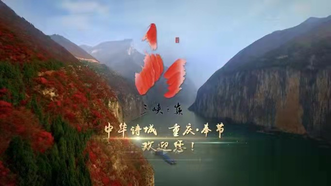 节目截图