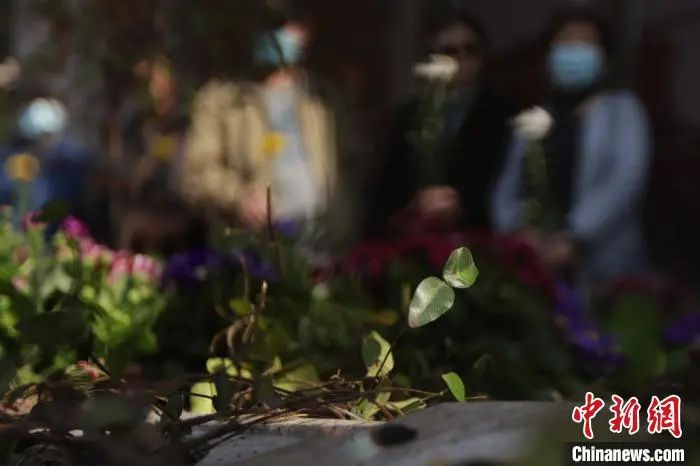 资料图：3月25日，南京推出“生命菁华”节地生态葬。　泱波　摄（图文无关）