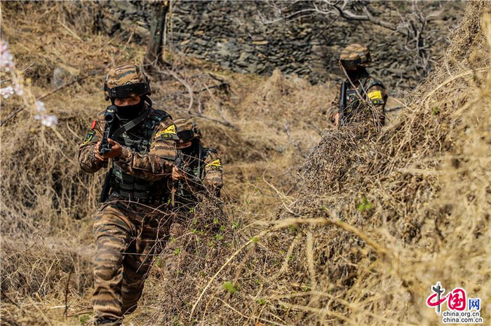 突击队员进行密林地追击。申鸿浩 摄