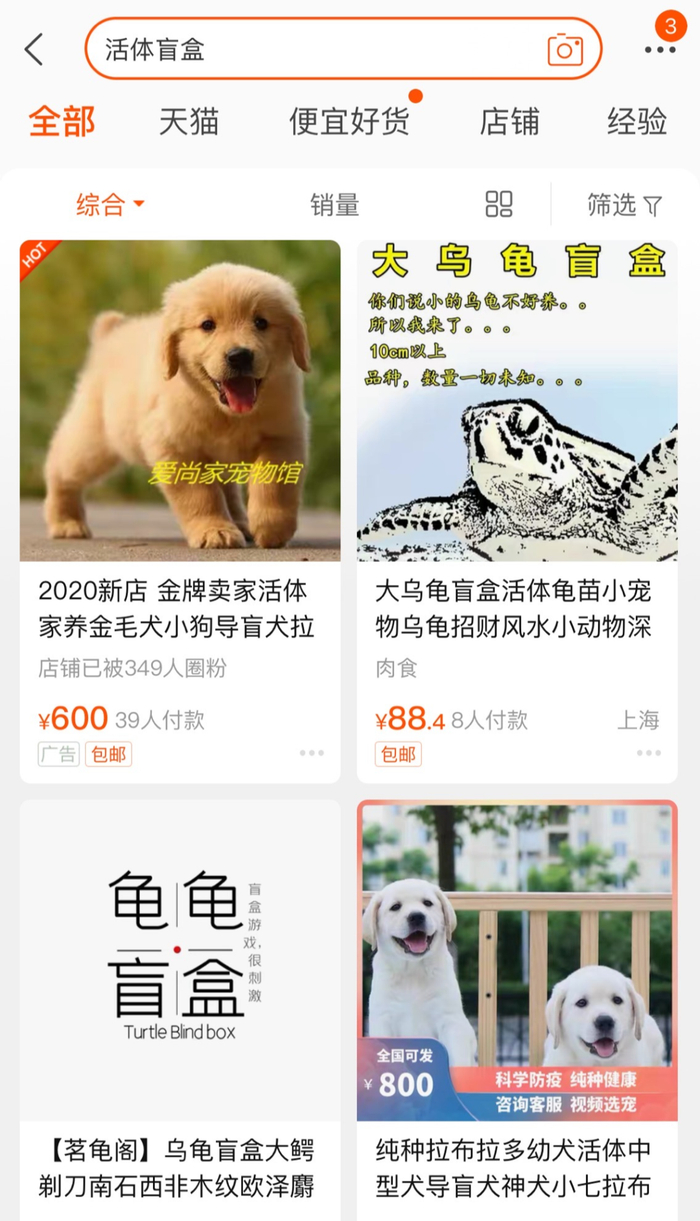 搜索“活体盲盒”出现的淘宝截图