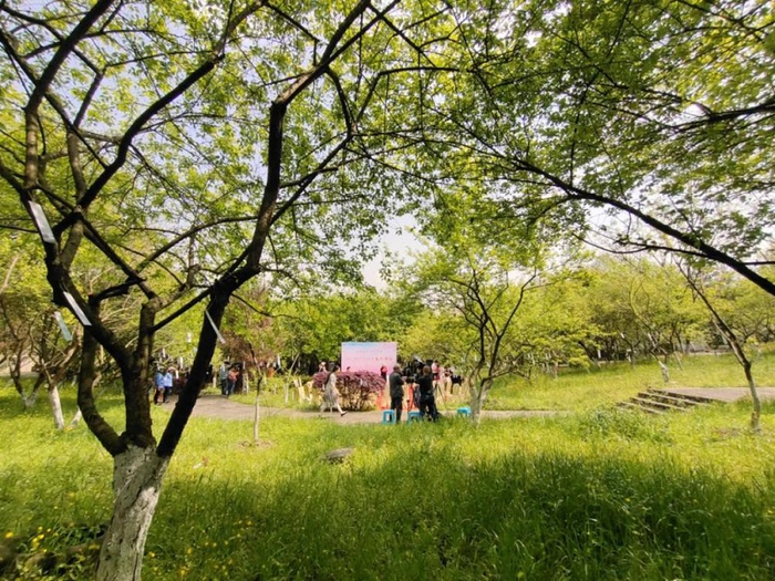 春天诗会活动现场（央广网发 活动主办方供图）