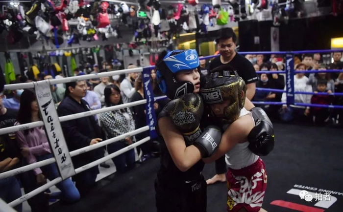 团子和顺顺在拳台上进行比赛。