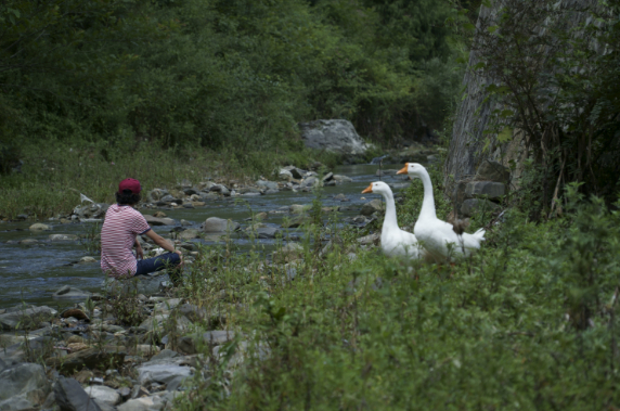  ▲2019年，坐在家门前小溪边的庞麦郎，这也是他童年玩耍的地方。图/IC PHOTO