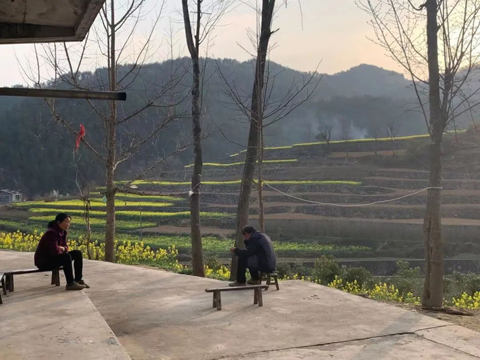  ▲庞麦郎的父母。图/草莓