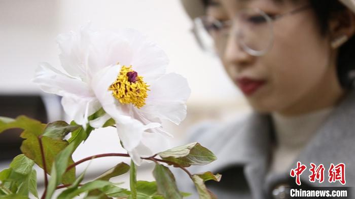 周韵脚 李秋莹 摄