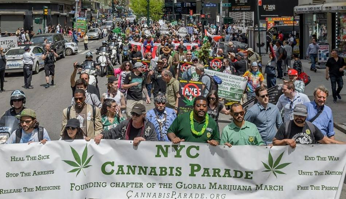  纽约市民举行游行支持大麻合法化