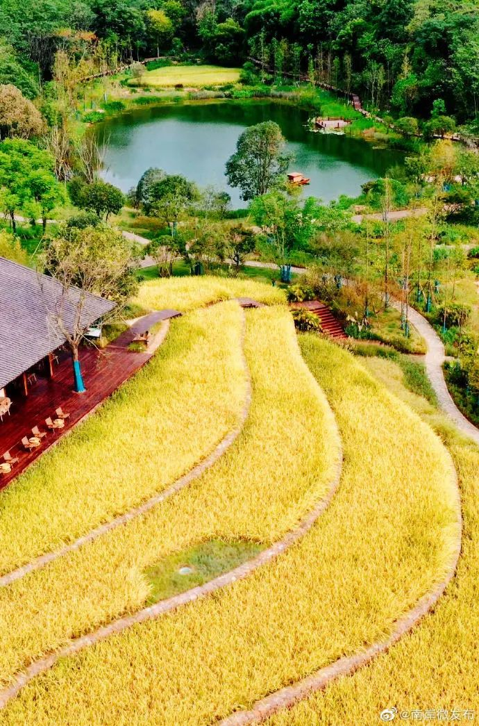 图：南岸微发布