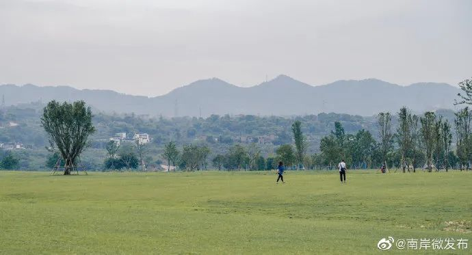 图：南岸微发布
