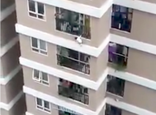 现场视频截图（图源：外媒）