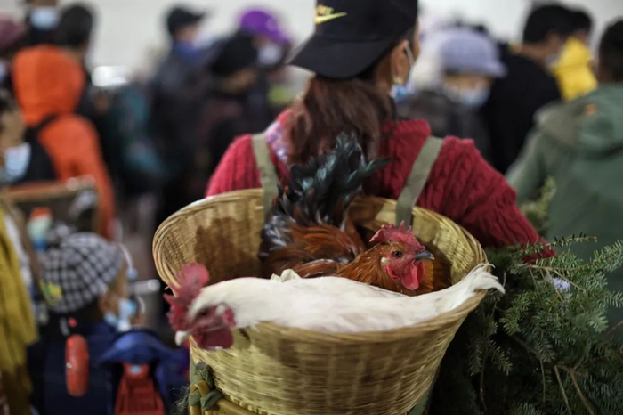  2月27日，普雄站，带着家禽乘车的人。新京报记者 王嘉宁 摄