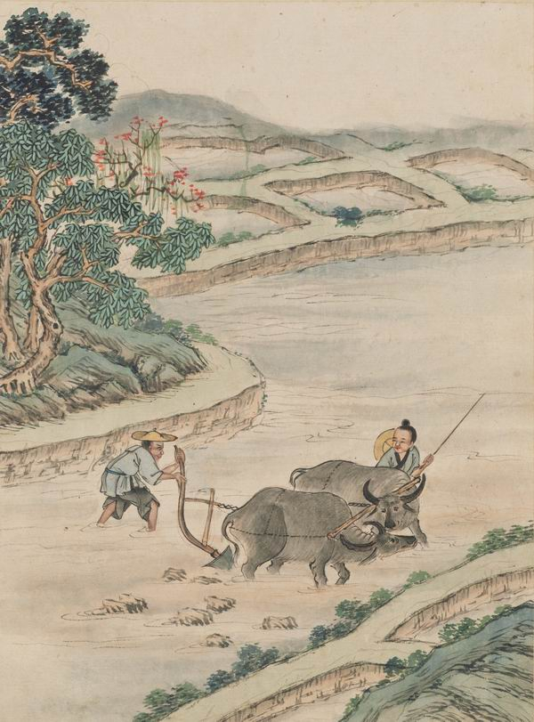 《夷人图说》之白人图像