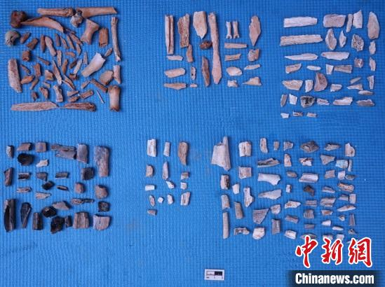 图为仙人洞出土的遗物 考古队供图 摄