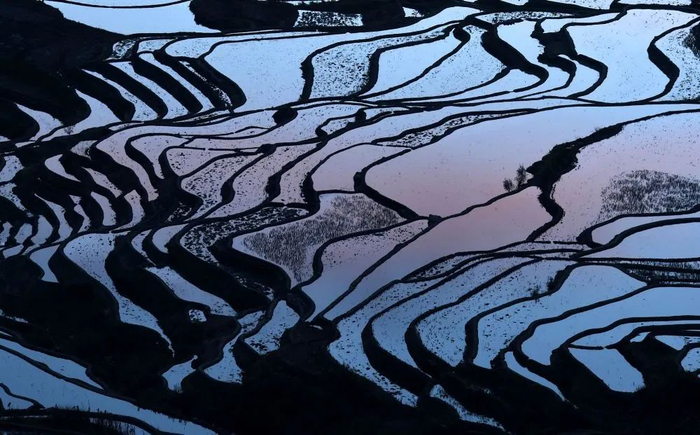 这是云南省红河哈尼族彝族自治州元阳县的哈尼梯田美景（2016年1月12日摄）。新华社记者 蔺以光 摄