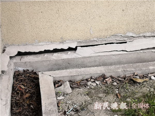 图说：小区里多幢单元楼底部墙角开裂