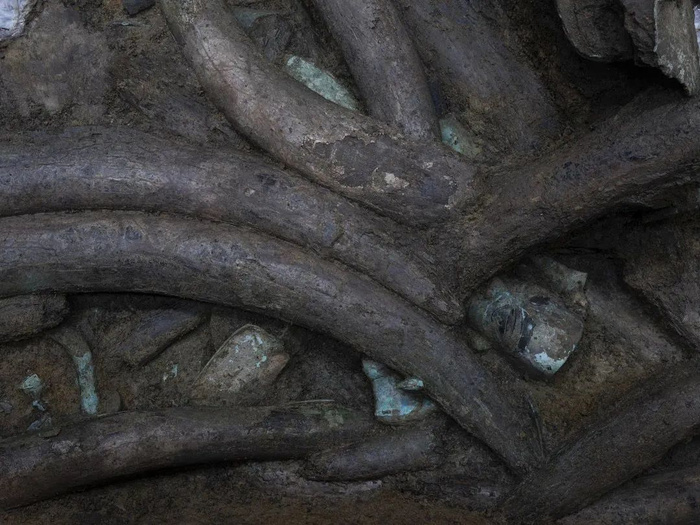 ▲三号祭祀坑器物。图源/三星堆博物馆官方微信