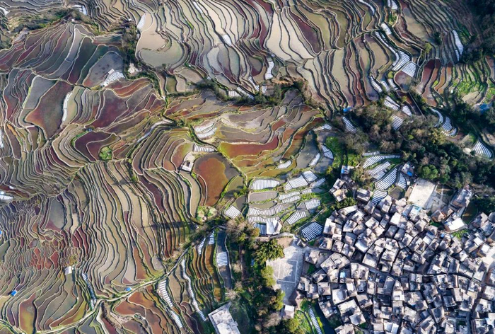 这是哈尼梯田景观（2月24日摄，无人机照片）。新华社记者 陈欣波 摄