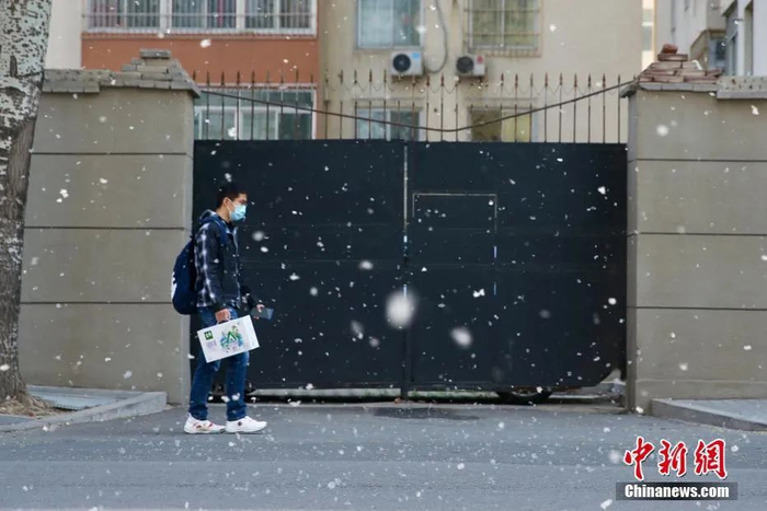 4月7日，北京街头，行人在飞絮中出行。中新社记者 易海菲 摄